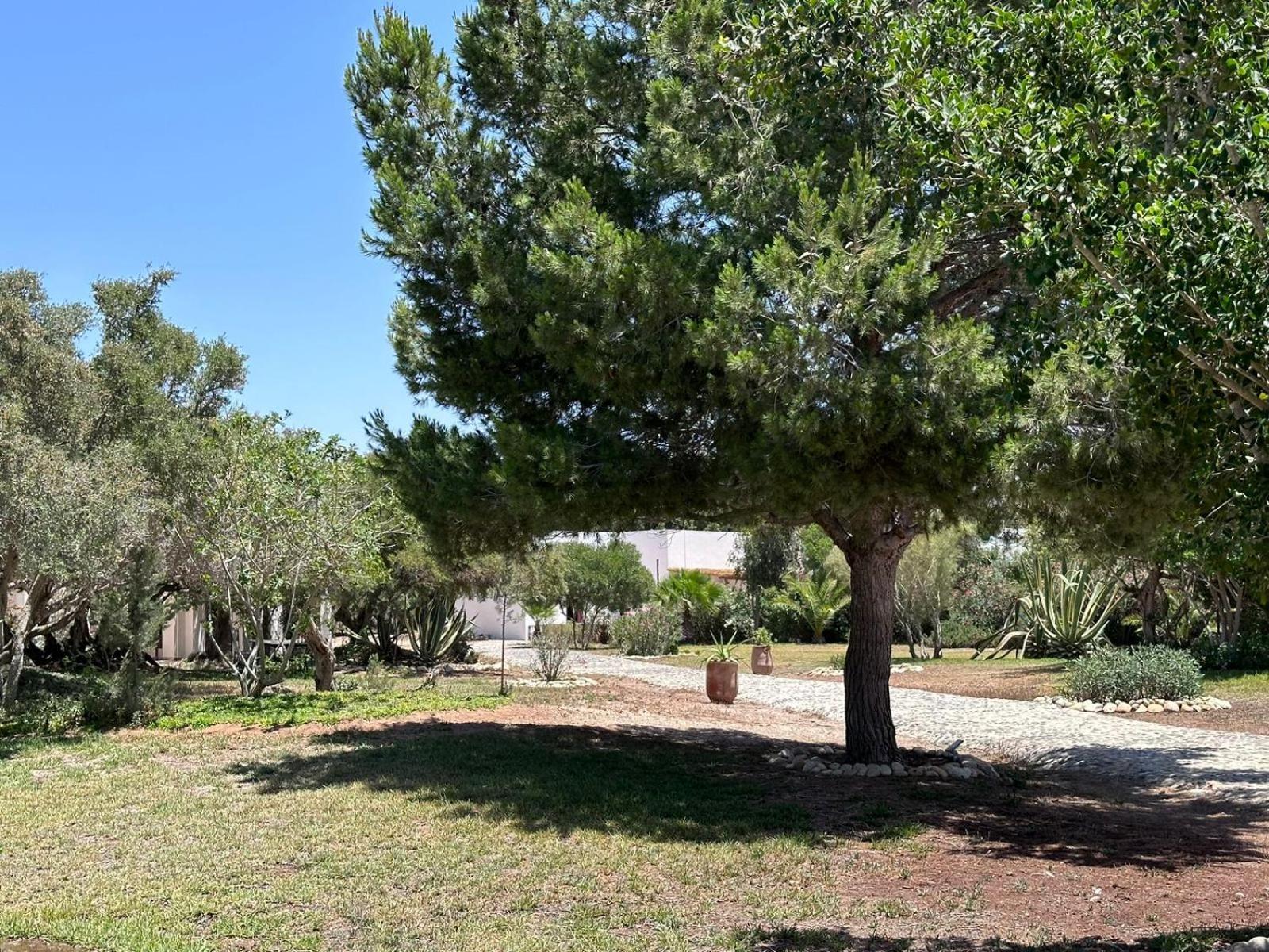 Domaine De L'arganeraie Hotel Al Ghar